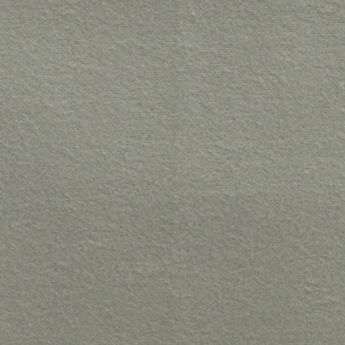 Pinzon Signature 190-Gram Cotton Velvet Flannel California King Sheet Set, Sage Green