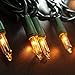 Zitrades Christmas Lights 100 Count Clear Bulbs Mini String Lights Set for Seasonal Decorative Christmas Holiday Wedding Parties Halloween with Warm White Indoor Outdoor Lighting Green Wire