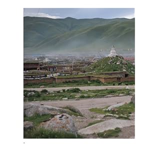 China's Vanishing Worlds: Countryside, Traditions, and Cultural Spaces