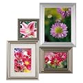 Bevy Collage Frame - Pewter