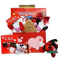 Puppy Love Care Package Chocolate and Candy Gift Box - Valentine's Day