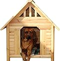 Hundehütte Hundehaus Massivholz wetterfest XL