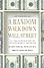Image of A Random Walk Down Wall Street: The Time-Tested Strategy for Successful Investing (Completely Revised and Updated)