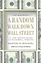 A Random Walk Down Wall Street: The Time-Tested Strategy for Successful Investing