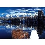 Winter Landscape 1000pcs TRF10153