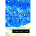 Walking on Water (Hardcover)