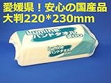 お肌に最高のソフトタッチ 愛媛県!安心の国産品 1枚 0.39円! 大判220*230mm ルミネ ハンドタオル 大判200枚 36入