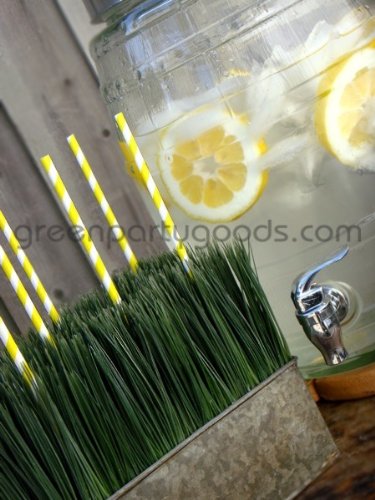 Paper Straws Pack of 144 Yellow
