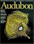 Audubon