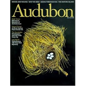 Audubon by 