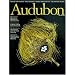 Audubon