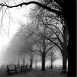 Black And White Morning - Artist: Harold Silverman - Art Print Poster Size: 8.00 by 8.00 inches