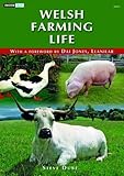 Welsh farming life
