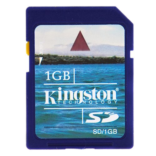 Retail Packing Kingston High Secure Digital Memory Card -1GB (SD/1GB) for Canon PowerShot SD1000 SD40 SD750 SD800 SD850 SD870 IS SD900 SD950IS SX100 TX1, Panasonic Lumix DMC-FX07 FX10 FX100 FX12 FX3 FX30 FX33 FX50 FX55 FZ18 FZ50 FZ50 FZ8 L1 L10 LS60 LS70 LS75 LX2 LZ2 LZ6 LZ7 TZ2 TZ3, Casio EXILIM EX-S770 EX-S880 EX-V7SR EX-V8SR EX-Z1050 EX-1080 EX-Z65 EX-Z75 EX-Z77, Nikon Coolpix L10 L11 L12 L14 L15 L2 P5000 P5100 Camera