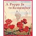 A Poppy is to Remember