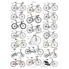 Bicycle Chart Print||RHFPR