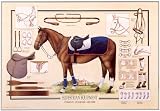 Equestrian Equipment Poster 51sE86vAW1L. SL160 Equestrian Equipment Poster