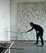 Brice Marden: Phaidon Focus