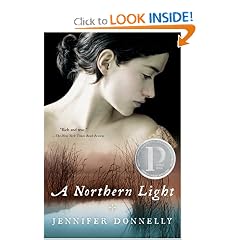 A Northern Light