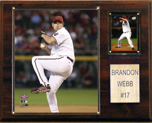 MLB Brandon Webb Arizona Diamondbacks Player Plaque