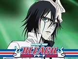 Bleach: Season 6
