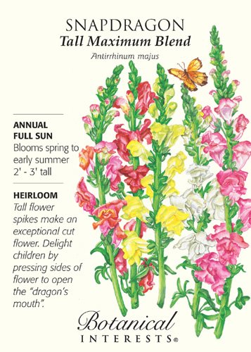 Tall Maximum Blend Snapdragon Seeds - 400 mg Tall Maximum Blend Snapdragon Seeds - 400 mg