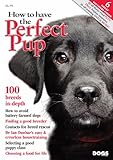 How to have the perfect pup