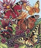 Pencil By Number Kit 10 Inch X12 Inch -Butterflies