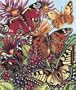 Pencil By Number Kit 10 Inch X12 Inch -Butterflies