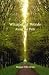 Whisper Of Words: Along The Path