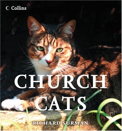Church Cats