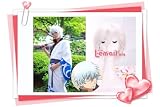 30cm Sakata Gintoki Gintama Short Straight Sliver White Party Wig Rw35