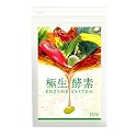 極生-酵素エンザイムシステム
