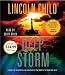 Book Deep Storm: A Novel