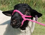HLTR POLY ROPE ADJ SHEEP F.PK &