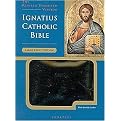 Holy Bible (King James Version, Kids Study Bible) (Large Print) (Paperback)