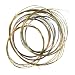 Rudra Veena String Set