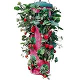 Felknor Ventures TT041112 Topsy Turvy Strawberry Planter