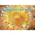 Underwater Eden 2009 Wall Calendar