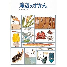 海辺のずかん (福音館のかがくのほん)