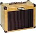Kustom Sienna 30-Watt Acoustic Guitar Combo Amp