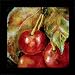 Modern Cherry Kitchen Decor Nicole Etienne Framed Art