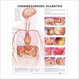 Understanding Diabetes Anatomical Chart