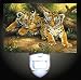 Baby Tiger Cubs Decorative Night Light