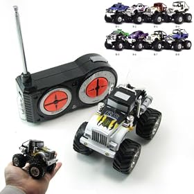 Brand New 1:43 Scale 5 Channel Mini RC Monster Truck from Micro R/C Cars