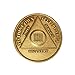 22 Year Bronze AA (Alcoholics Anonymous) - Sober / Sobriety / Birthday / Anniversary / Recovery / Medallion / Coin / Chip
