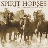 Spirit Horses 2009 Wall Calendar