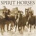 Spirit Horses 2009 Wall Calendar