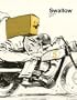 Swallow Book 5