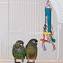 Brainy Bird Teenies Series Bird Toys Tower 10IN